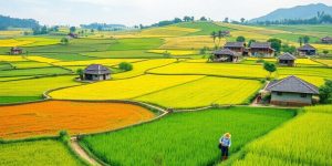 Peisaj rural cu câmpuri verzi și case tradiționale.